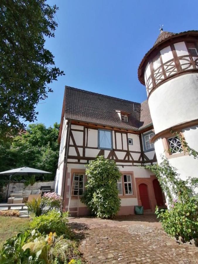 Maison Kobold Xvie Siecle Wissembourg Exterior foto