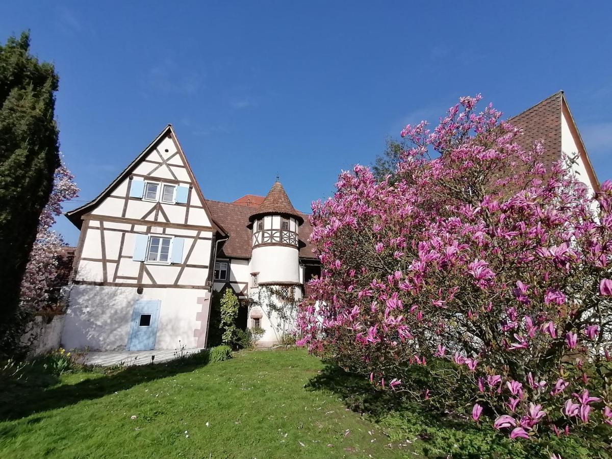 Maison Kobold Xvie Siecle Wissembourg Exterior foto